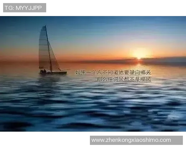 张宁的成长之路：从青涩学子到职场精英的奋斗故事与人生启示