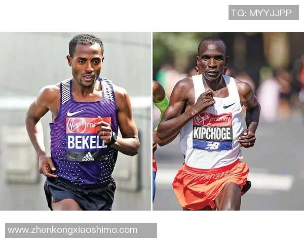 阿瓦依与弗拉门戈的巅峰对决谁能在这场较量中笑到最后 阿瓦依与弗拉门戈的巅峰对决谁能在这场较量中笑到最后