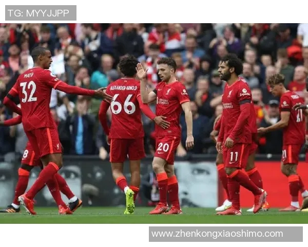 利物浦与纽卡斯尔激战正酣比赛直播全程回顾与精彩瞬间分析