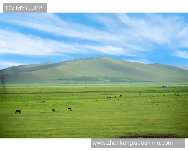 内蒙古卫视直播在线平台全新上线精彩节目不断带你领略草原风情