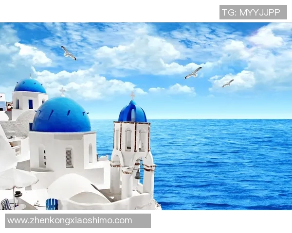 探索eder的魅力与价值，揭示其在现代生活中的独特作用与影响