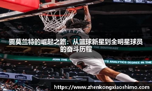 必一运动官网版