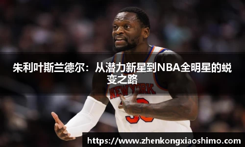 朱利叶斯兰德尔：从潜力新星到NBA全明星的蜕变之路